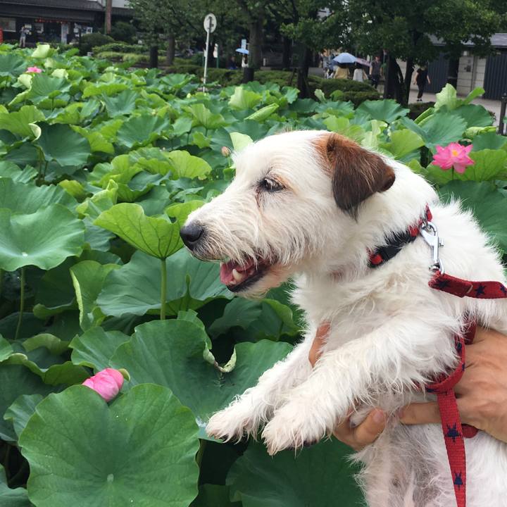 86471fb6 88aa 4888 b1a9 7f19ad29fe30 1563232444686