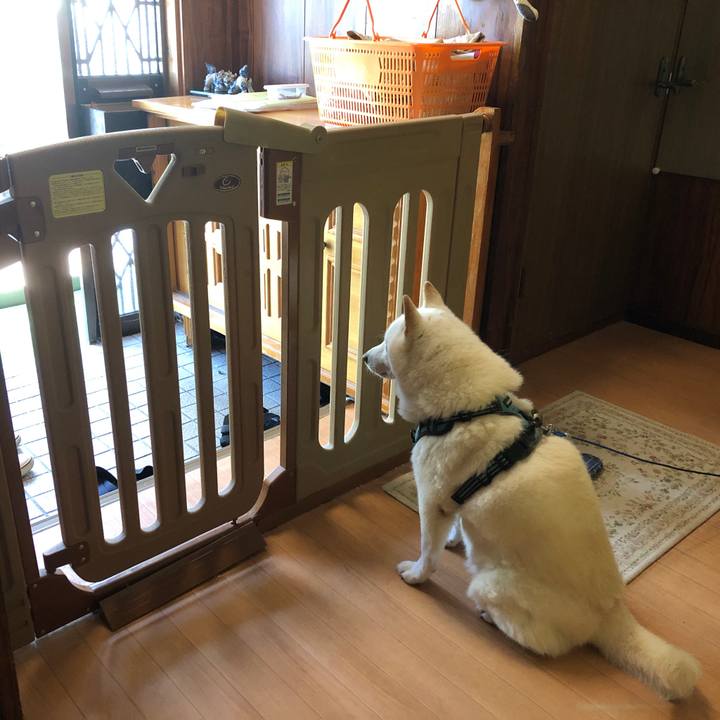 86474500 d57d 4b0a b961 1e444cde0529 1727060997440