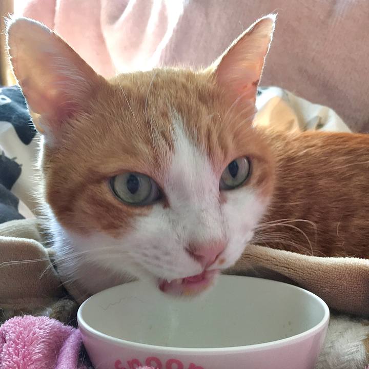 86477940 279f 4a7e 923e a647370e415f 1575356361881