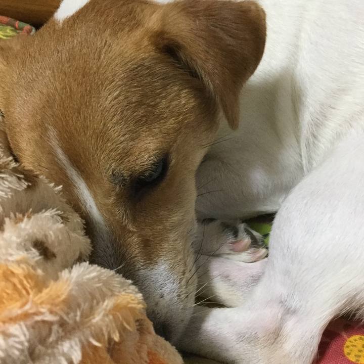 86477dd8 1122 4f99 b01a 3979de9c3fc3 1533985888362