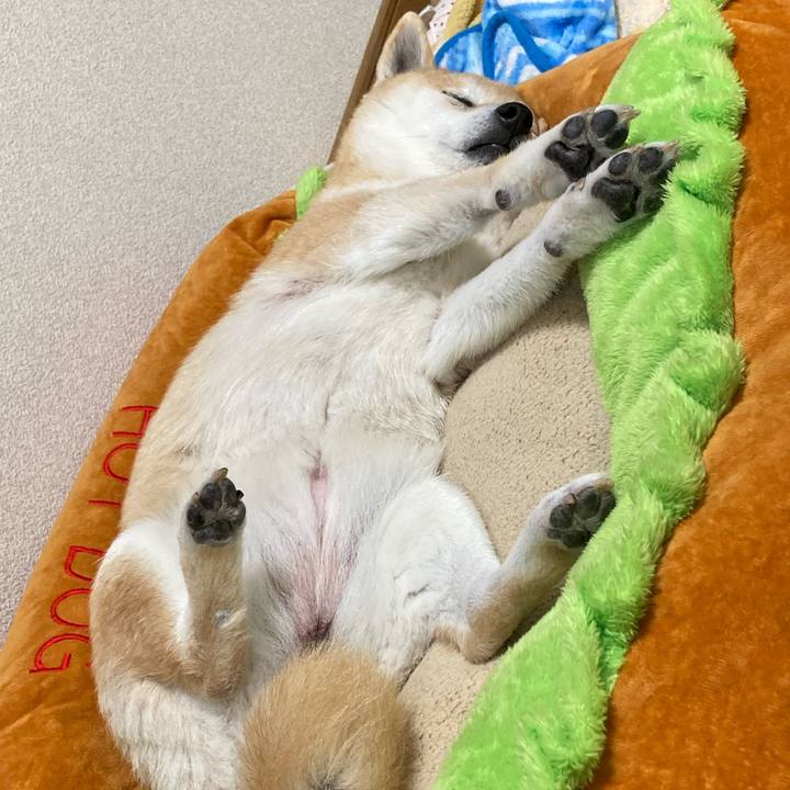 86478587 d121 4f06 8019 7afae081671d 1620198540837