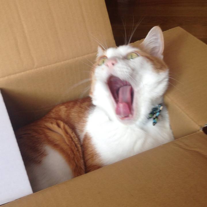 864785ca 4045 40df b118 8b2d05ff8185 1515387094016