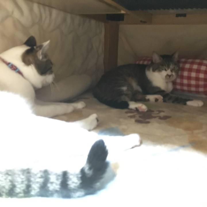 8647935b a9c4 4fef 97b8 e9c8ef9d1c8b 1511009128344