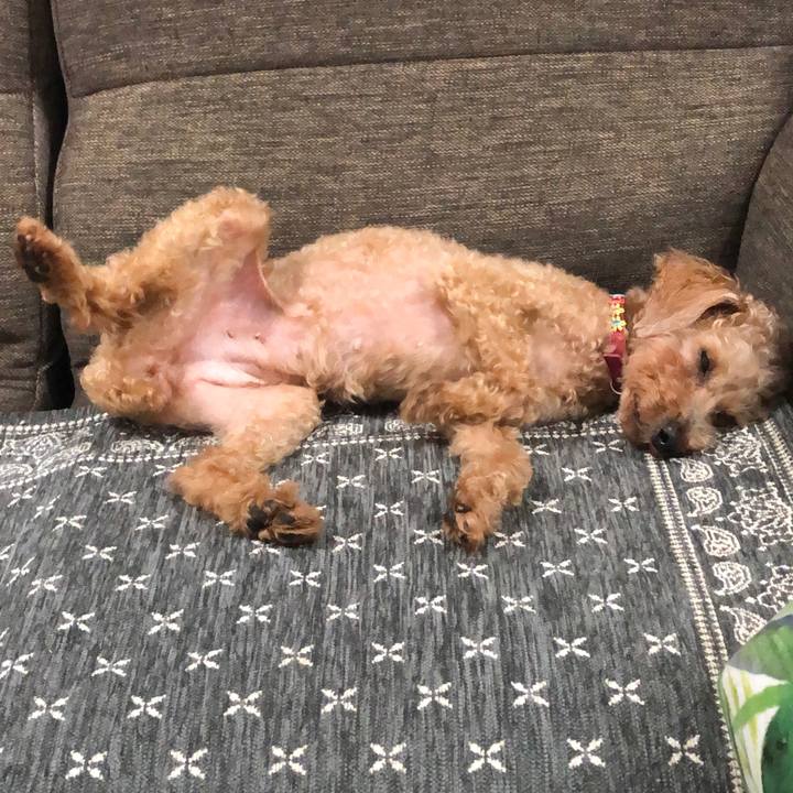 86479b87 d762 4865 9104 c01088ee21e8 1562248843690