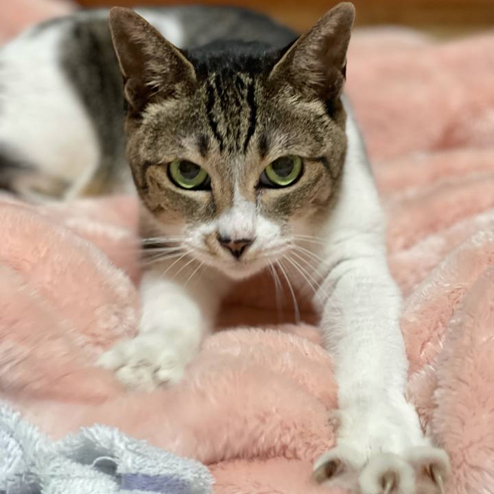 86479e13 8044 403d 8984 be651b3fc35b 1631151917287