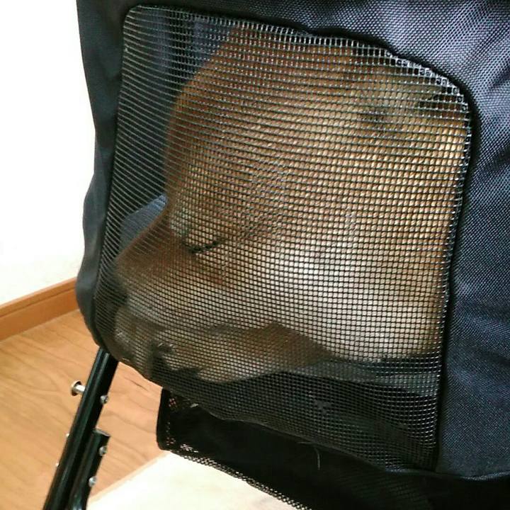 8647c4ea 22e9 4662 971b acc18255b1ec 1555392210769