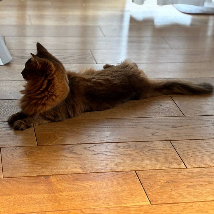 8647c9c7 fc92 411b 854f 810ef0b50652 1755335298274