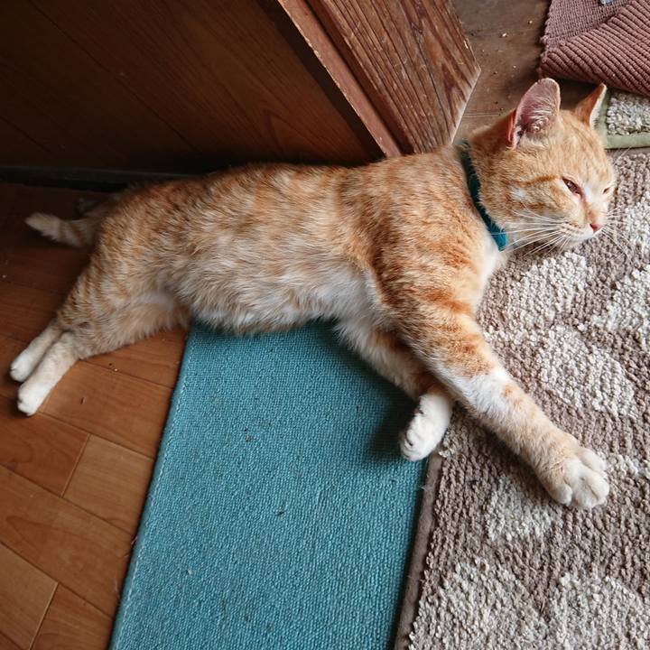 8647d8ad d5e1 473f b6aa 567f86271244 1556847775781