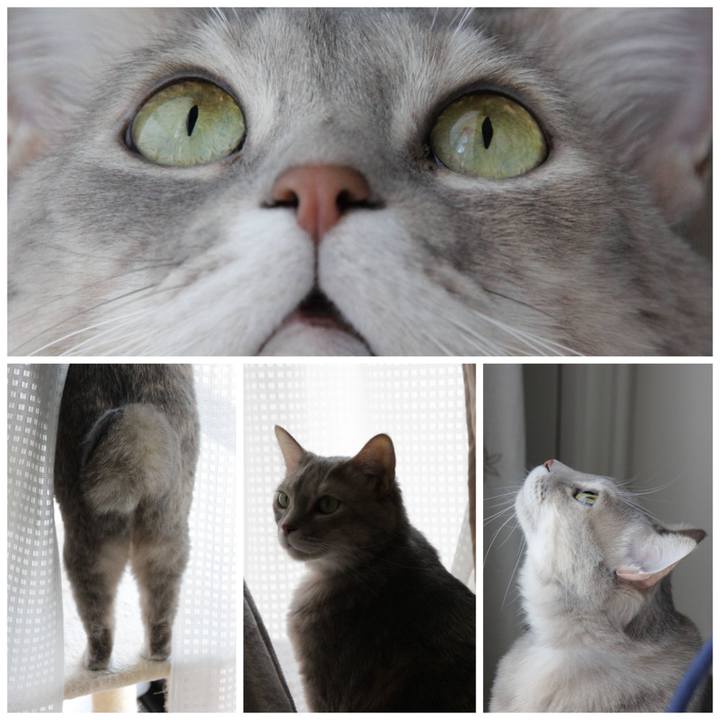 8648340d bea5 4ca2 8377 15a077b5eb61 1643082261763