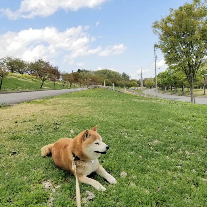 8648402e 29c1 4237 8da5 8a30bf339d46 1651459735235