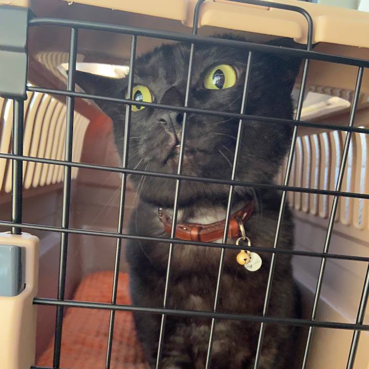 86485248 acd1 4c5b be18 c7ce20d99dbf 1639537182229