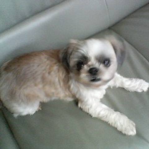 864858c7 8540 4fc1 995d cee69c96db34 1543736388908