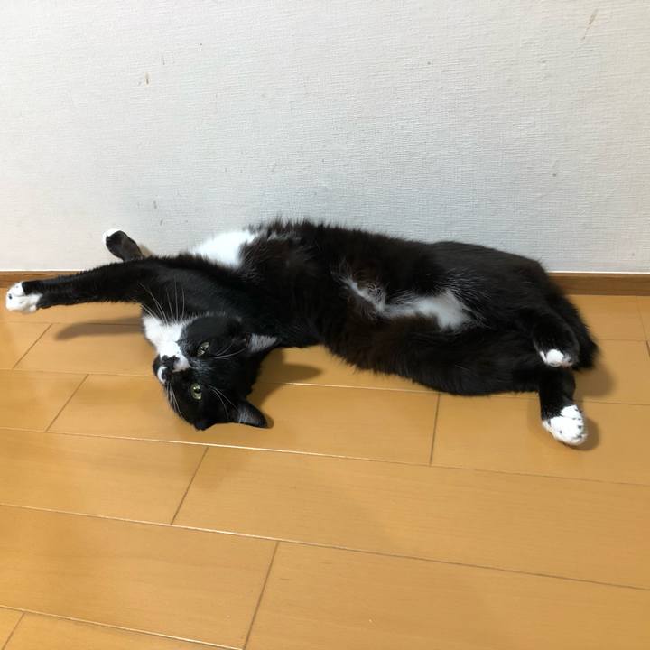 8648681a 1097 4612 a118 6e5a67ab528b 1664250019484