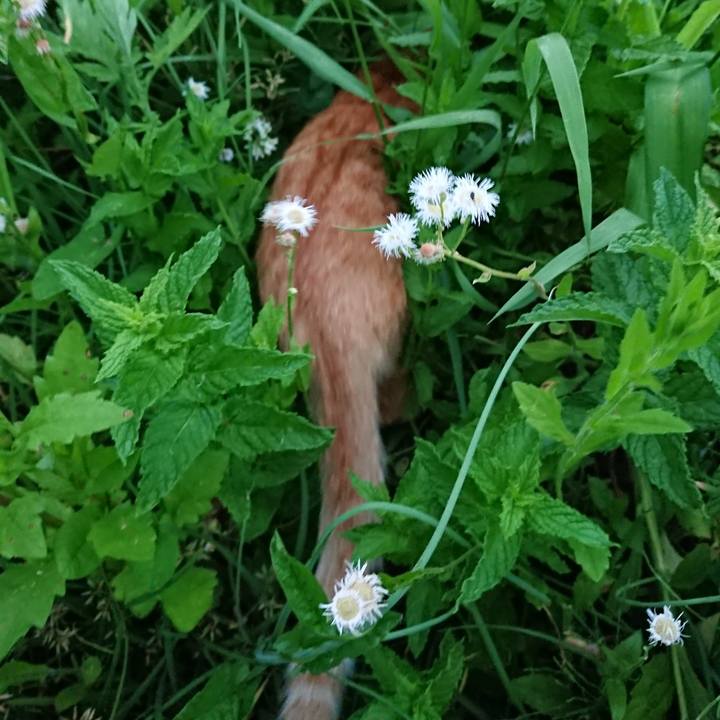 86486990 aa0b 4ba8 978b 11d0315a0625 1559556680366