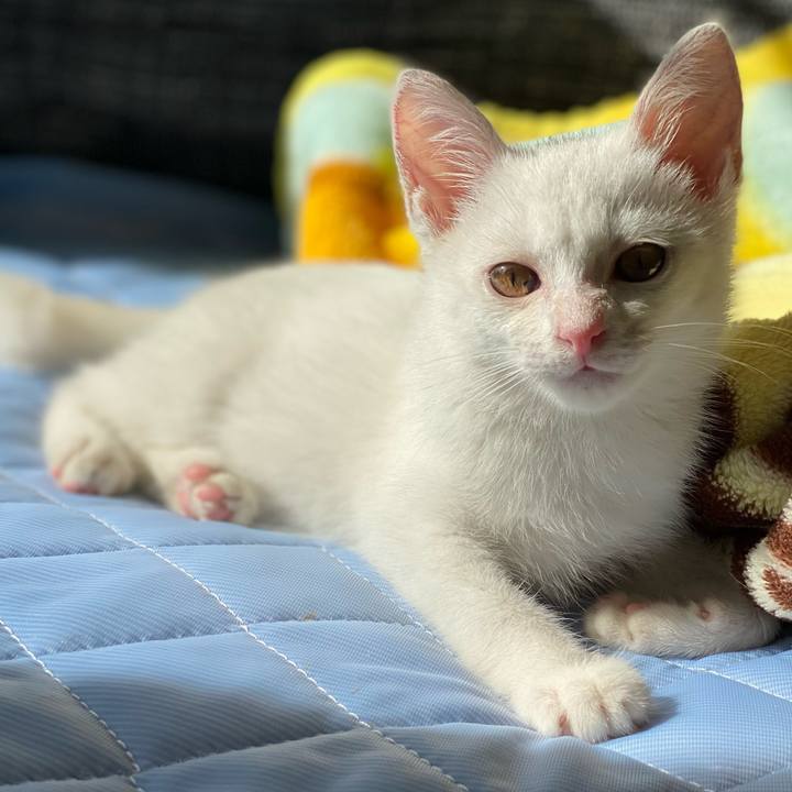 86487eb3 27fc 41d0 b7a3 b7d10d201ffe 1663825152410