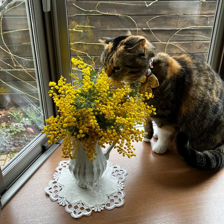 86488e07 186e 421f ab3d b068aa55dfaf 1772113212187