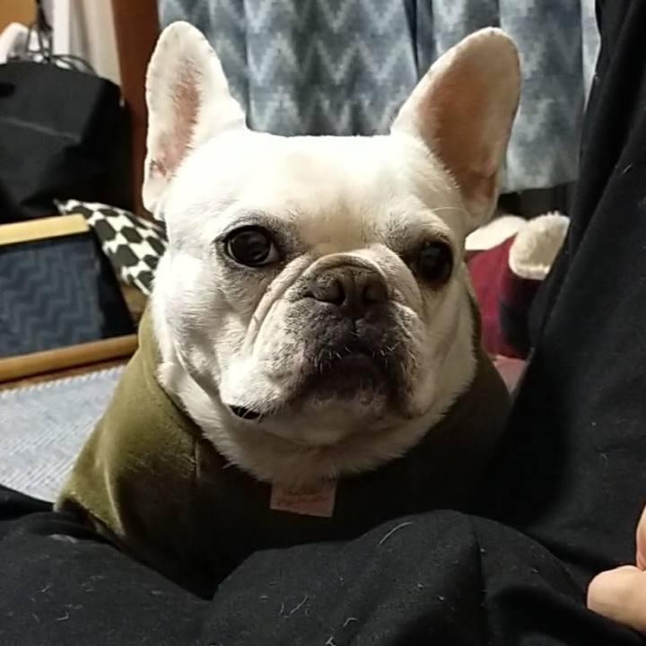 8648ba82 0d39 487c b54e 9c9ad738006c 1669717310853