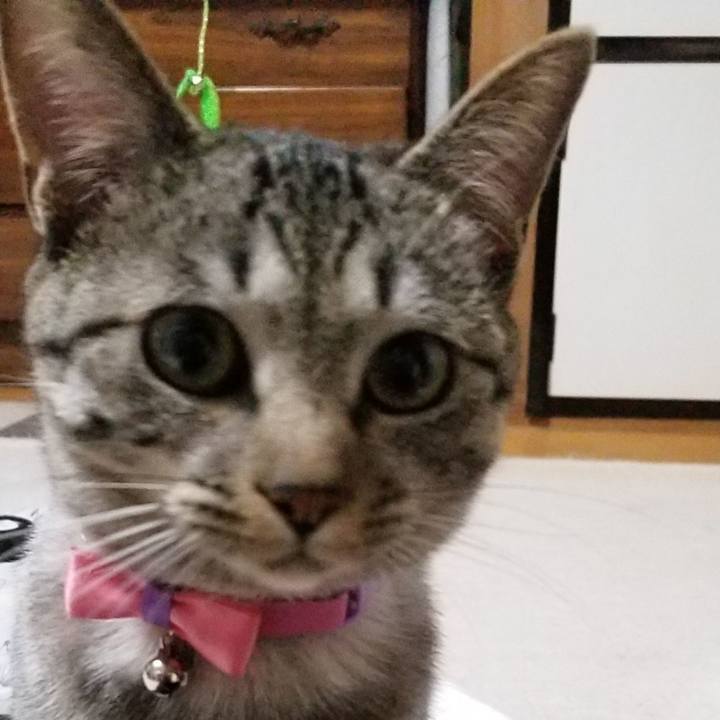 86492bdb f38d 4e24 b105 0b78d7db0224 1680758727689