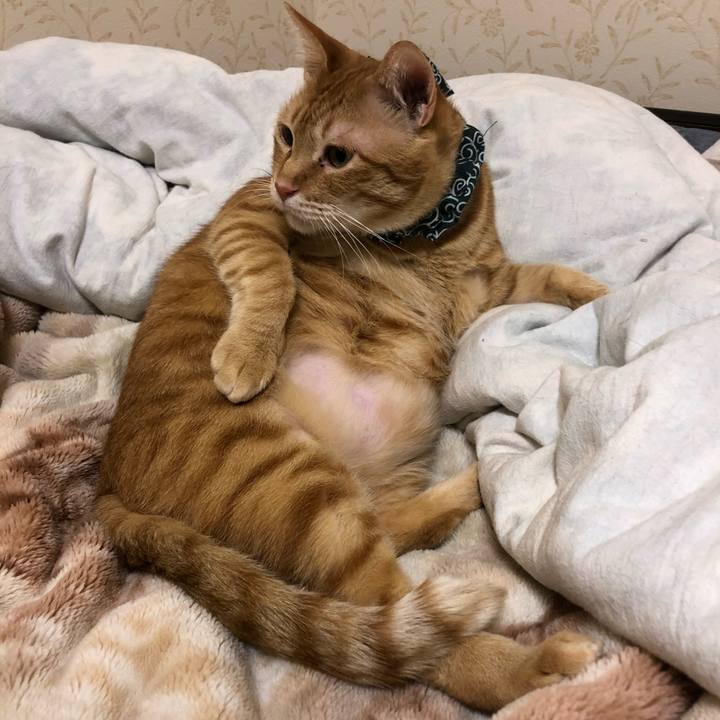 86495118 7d31 402d 9361 674fbbd35cf8 1576409068427