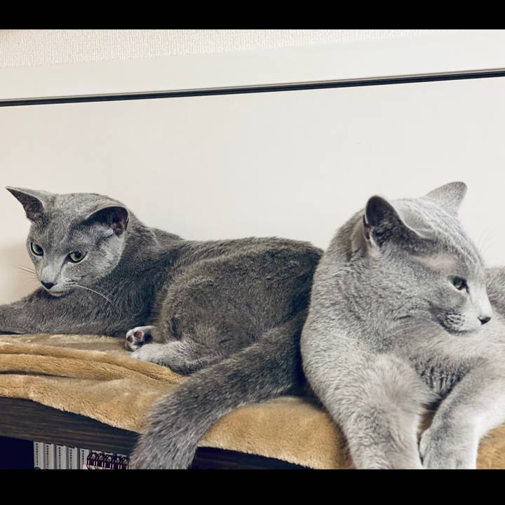 86495946 671a 4400 b000 0482340115a6 1624101431678