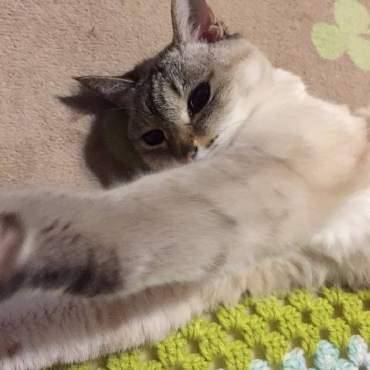 8649604b ff85 44f9 b89f de2c41303a21 1550056294839