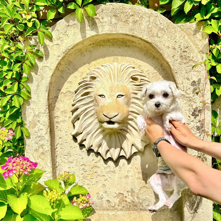 864991d3 b4f1 4d60 a30d f77b4bddfacf 1686292029322