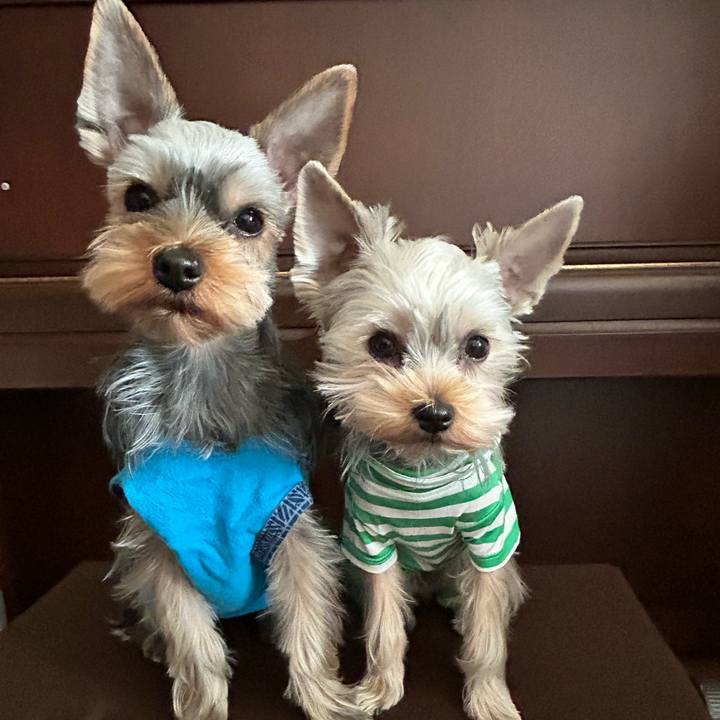 8649962e 7ac5 460d 9668 1d011d5ec8f7 1735608154927