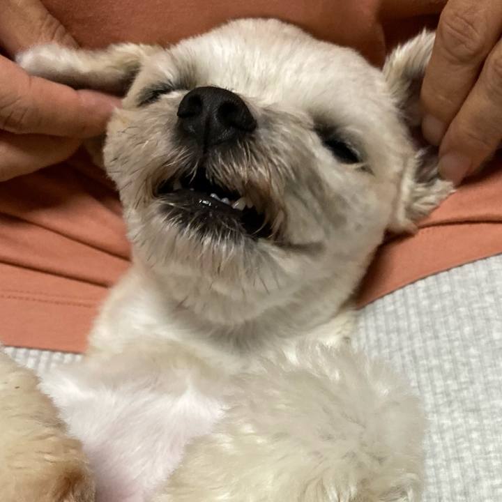 8649bbab 4c01 401b 8156 2129a1e6d2ec 1632578473365