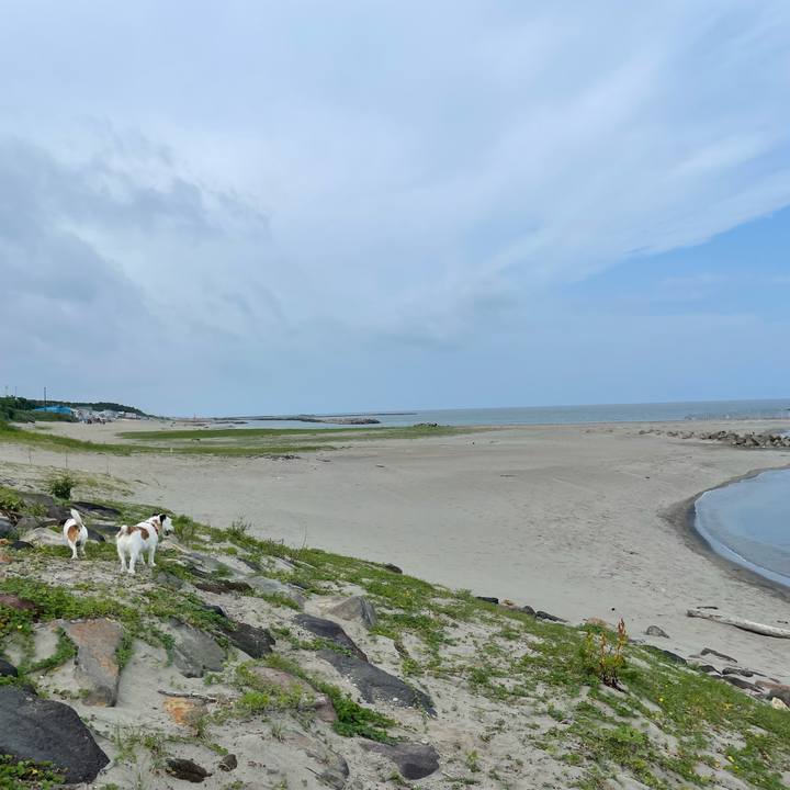 8649c213 0ea0 4c0d 8f31 3d921a649289 1720226282267