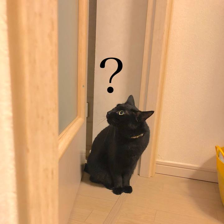 864a0060 8baf 4e04 8897 983456eec027 1519217312230