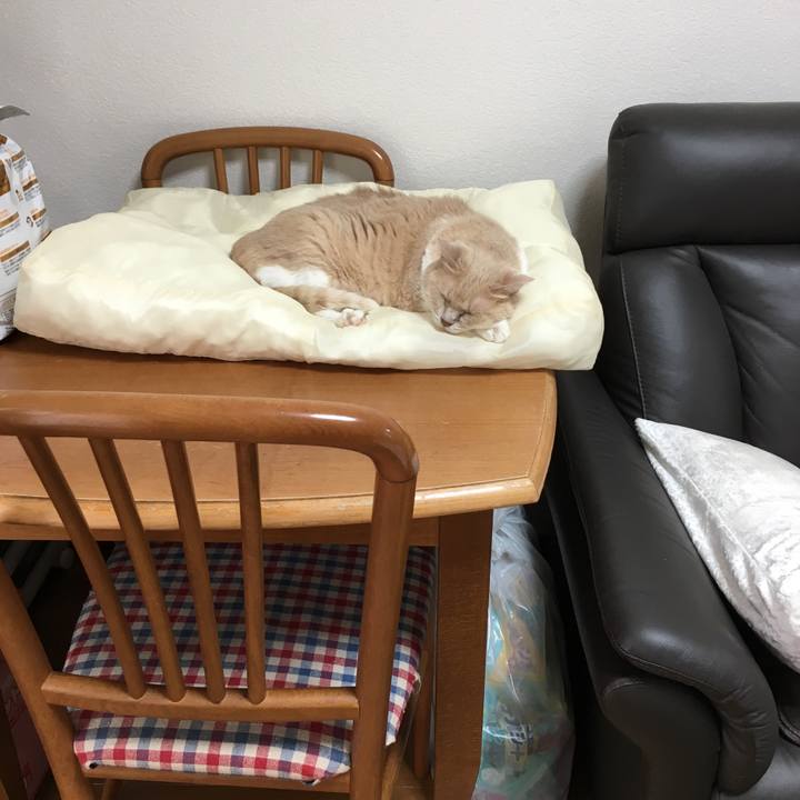 864a285d 2703 4cf8 92a6 93ac26fd234e 1534903326045