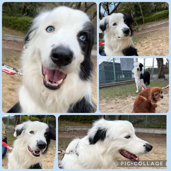 864a3445 00bc 499a 9781 c2ab0d4a649a 1679131625263