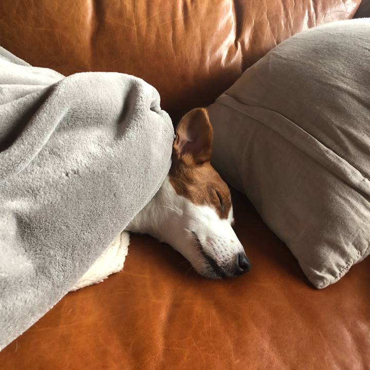 864a441a 453d 4e75 82a7 6c22df1d5314 1549360538619