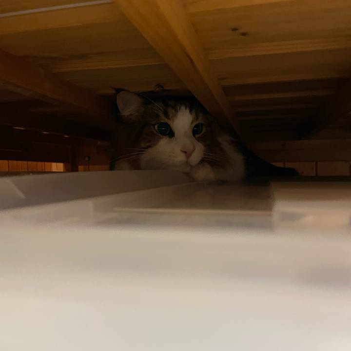 864a57d4 c857 4e96 94f3 9a8c74348079 1759959584169