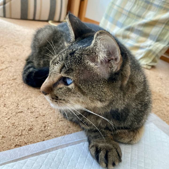 864a6fd9 daf6 4487 b5ad 40e1f604b382 1665195526693