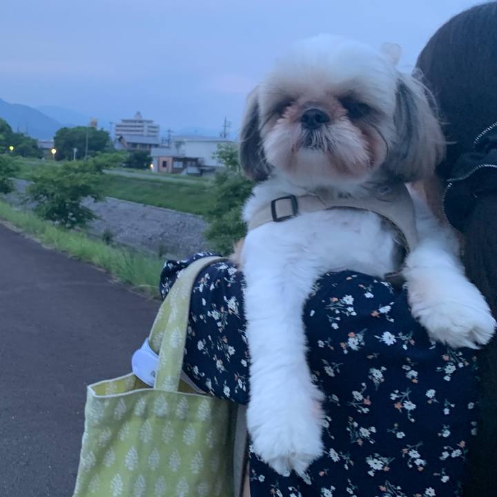 864a72a2 4666 4cea bee6 fd914e2fa048 1653053804434