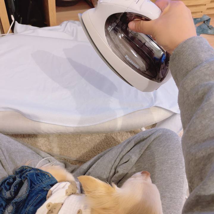 864a9a5e cb60 44c3 b5bc 0255fc5b087c 1703590201694