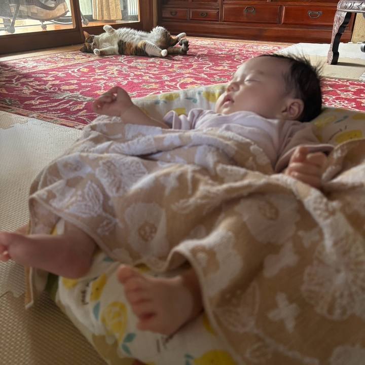 864a9f1b 4840 4ee7 a07b 1987a7d6b4fe 1755748470960