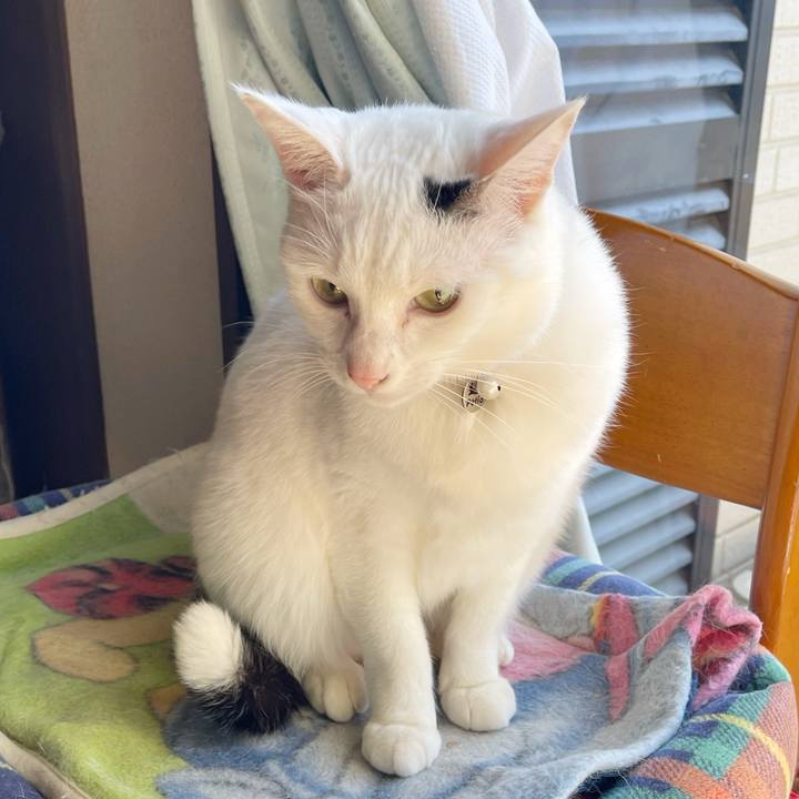 864ab40a 2c78 4e3e 8736 8ff103e62dab 1769313166476