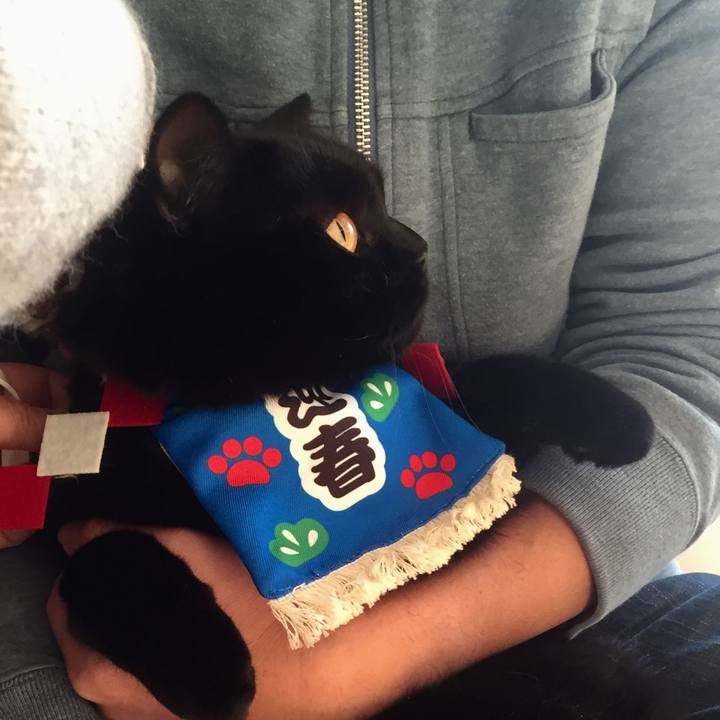 864abbde 058a 49ae 956c 2bbabffe665b 1546296977263