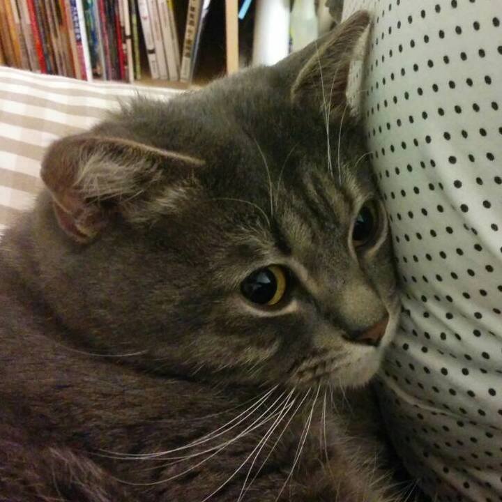 864b1360 d132 4d37 b360 9fcc84a243f6 1515597540396