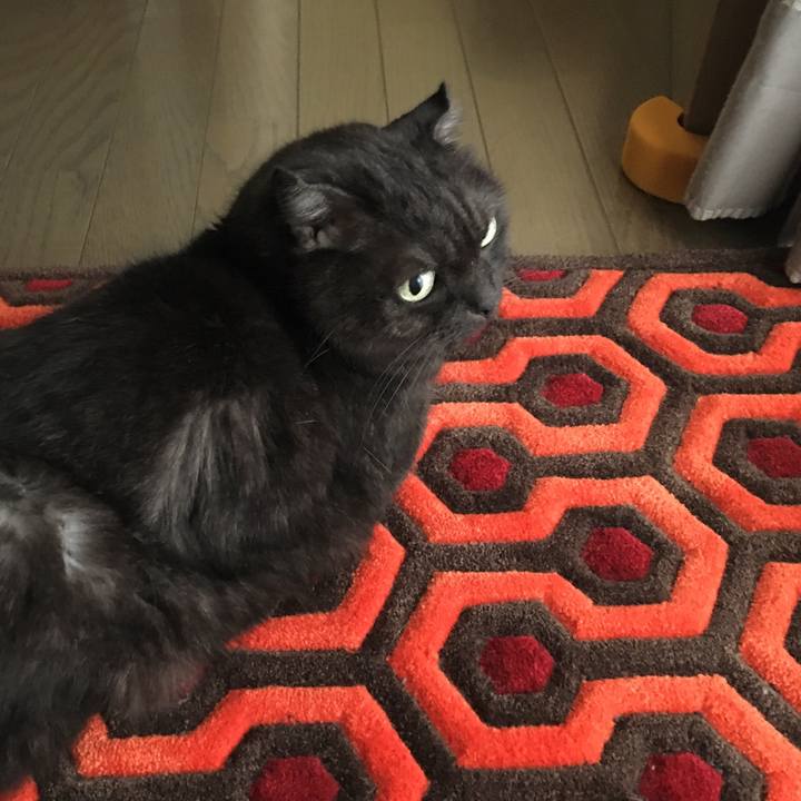 864b38e0 e416 4adc ac43 2bc5fb3dd6e0 1529535164983