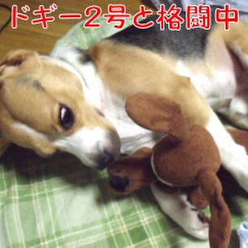 864b3dfd de6d 4d81 9a2d 3691e8a03280 1722224008070