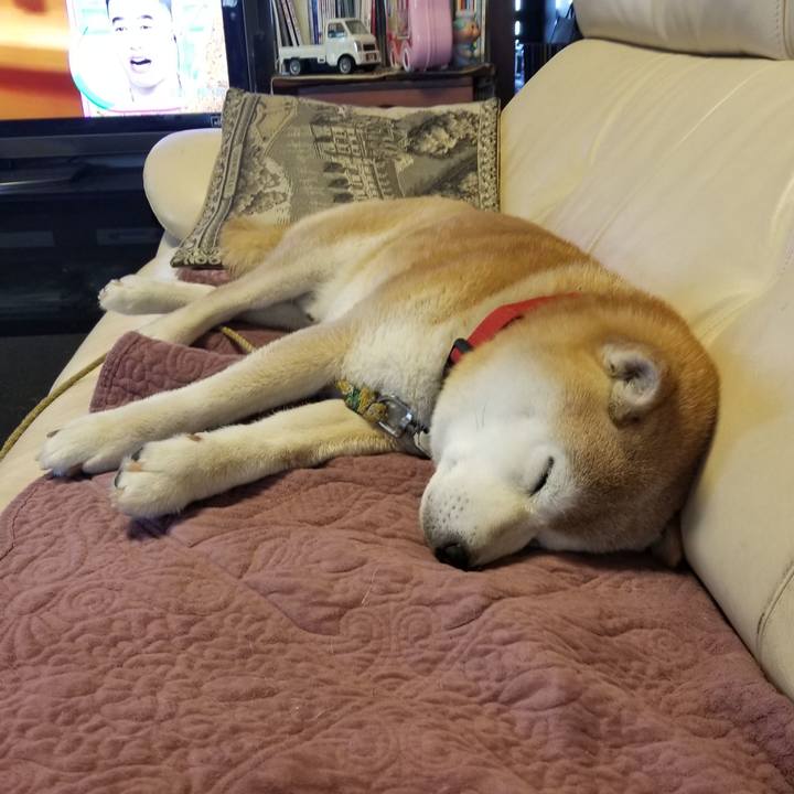 864b5294 a029 4429 b644 26d60c2b3bf0 1716590048246