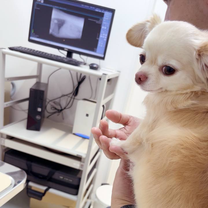 864b971f fde2 4641 8df5 57598199bdc9 1753527763370