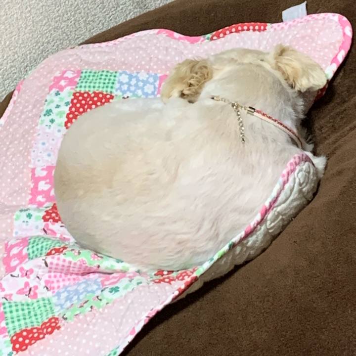 864ba2e3 1124 48e1 9b8e be8e67480c0a 1618575270025