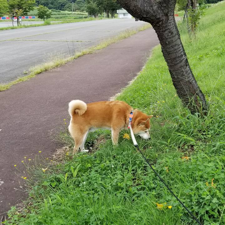 864bb1ca 839c 4d7d a279 c54473808307 1536462709373