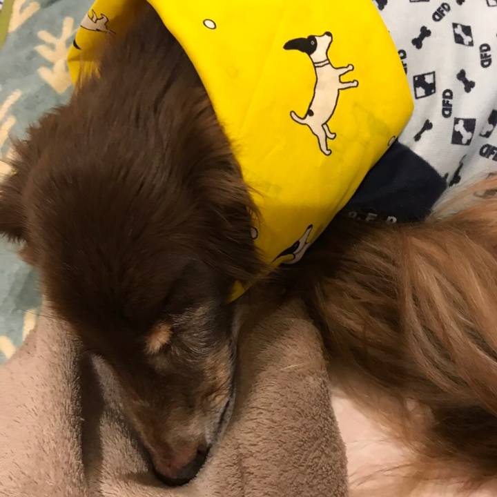 864bb596 8d64 46d9 925a 24e3b83de95e 1553209898251