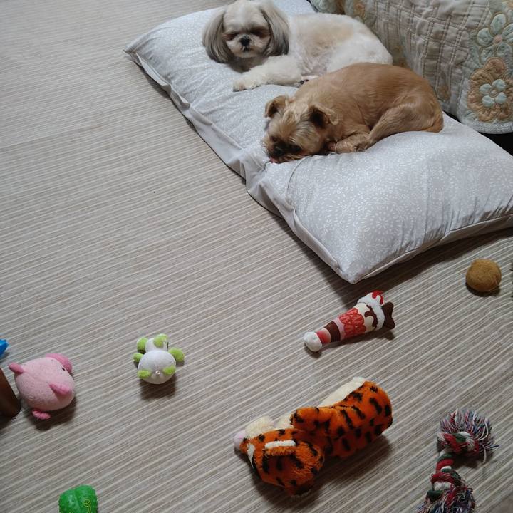 864be398 b1b4 4115 bfaf 66cda88ed682 1623547547503