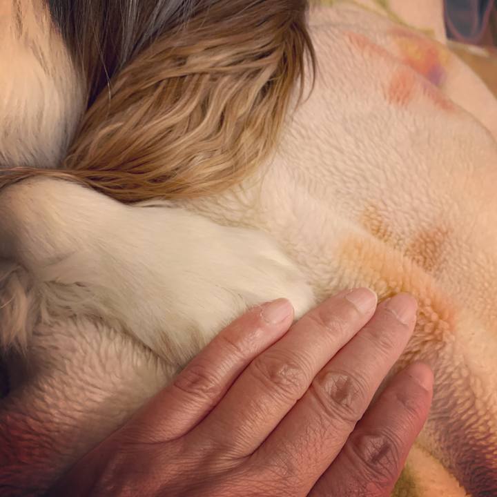 864bf68c 8e32 4510 a1de a38272f334fc 1579513075109